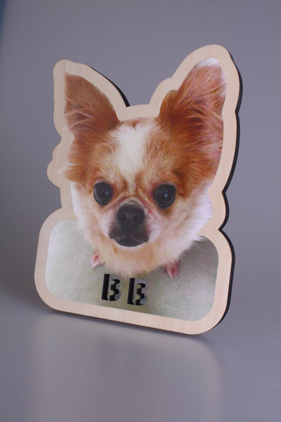 Custom Wooden Signage